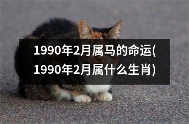 1990年2月属马的命运(1990年2月属什么生肖)