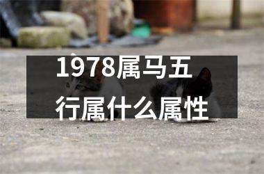 1978属马五行属什么属性