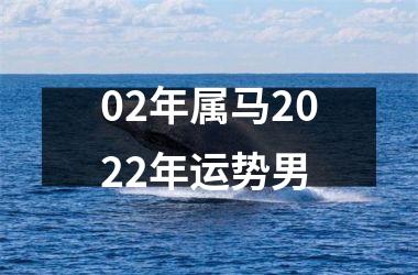 02年属马2025年运势男