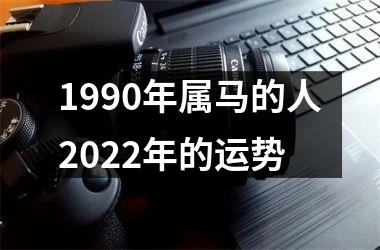 1990年属马的人2025年的运势