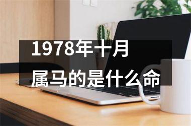 <h3>1978年十月属马的是什么命