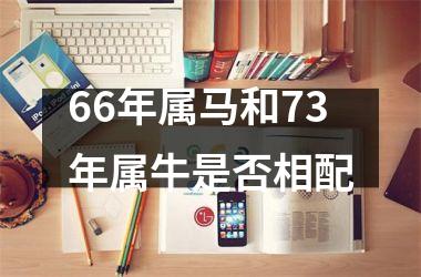 66年属马和73年属牛是否相配