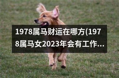 1978属马财运在哪方(1978属马女2025年会有工作调动吗)