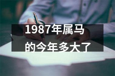 1987年属马的今年多大了