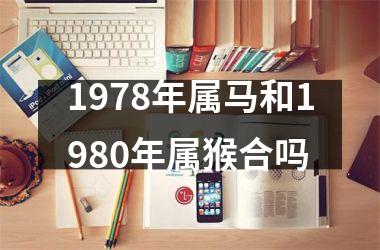 1978年属马和1980年属猴合吗