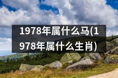 1978年属什么马(1978年属什么生肖)