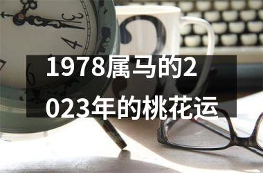 1978属马的2025年的桃花运