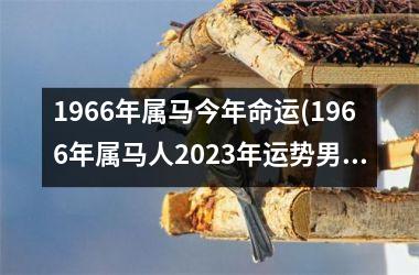 1966年属马今年命运(1966年属马人2025年运势男性)