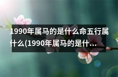 1990年属马的是什么命五行属什么(1990年属马的是什么命)