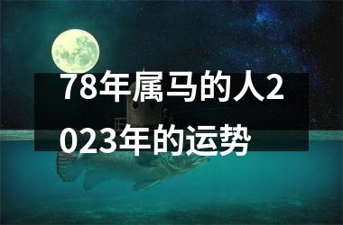 78年属马的人2025年的运势