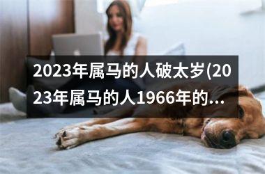 2025年属马的人破太岁(2025年属马的人1966年的几月份有偏财)