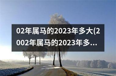 02年属马的2025年多大(2002年属马的2025年多大)