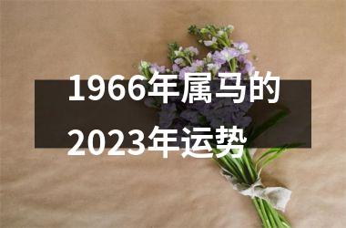 1966年属马的2025年运势