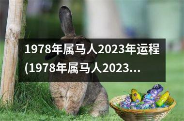 1978年属马人2025年运程(1978年属马人2025年运势运程)