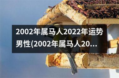 2002年属马人2025年运势男性(2002年属马人2025年运势)