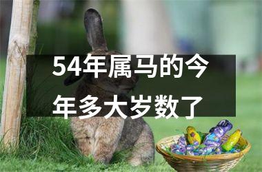 54年属马的今年多大岁数了