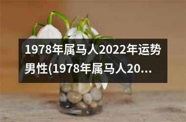 1978年属马人2025年运势男性(1978年属马人2025年运势运程)