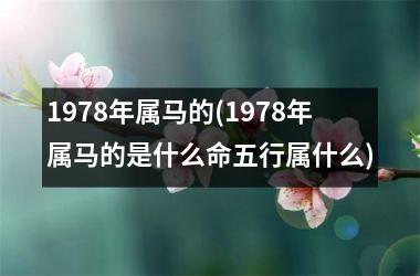 1978年属马的(1978年属马的是什么命五行属什么)