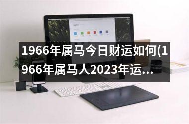 1966年属马今日财运如何(1966年属马人2025年运势男性)