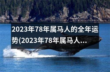 2025年78年属马人的全年运势(2025年78年属马人运势)