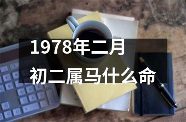 1978年二月初二属马什么命