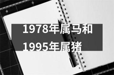 1978年属马和1995年属猪