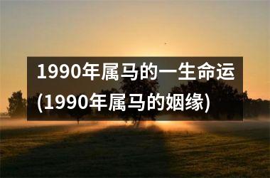 1990年属马的一生命运(1990年属马的姻缘)