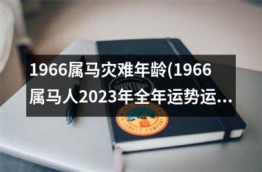 1966属马灾难年龄(1966属马人2025年全年运势运程男性)