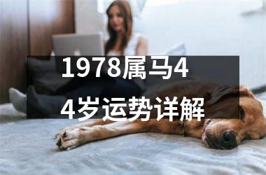 1978属马44岁运势详解