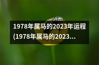 1978年属马的2025年运程(1978年属马的2025年运势和财运怎么样)