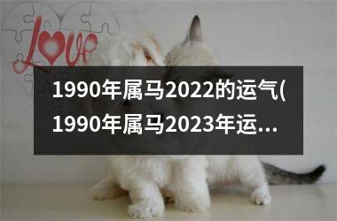 1990年属马2025的运气(1990年属马2025年运势)