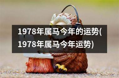 1978年属马今年的运势(1978年属马今年运势)