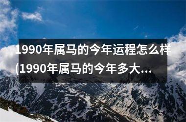 1990年属马的今年运程怎么样(1990年属马的今年多大了)