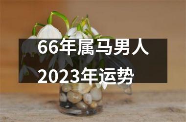 66年属马男人2025年运势