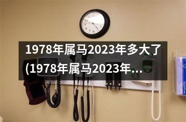 1978年属马2025年多大了(1978年属马2025年运势及运程每月运程)