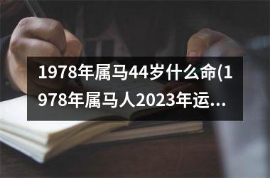 1978年属马44岁什么命(1978年属马人2025年运势运程)