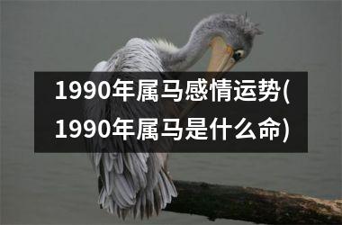 1990年属马感情运势(1990年属马是什么命)