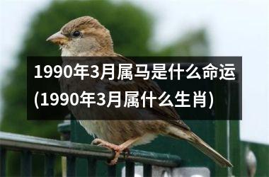 1990年3月属马是什么命运(1990年3月属什么生肖)