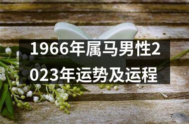 1966年属马男性2025年运势及运程