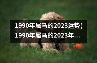 1990年属马的2025运势(1990年属马的2025年运势)