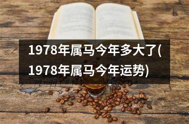 1978年属马今年多大了(1978年属马今年运势)