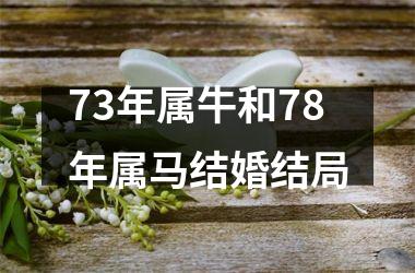 <h3>73年属牛和78年属马结婚结局