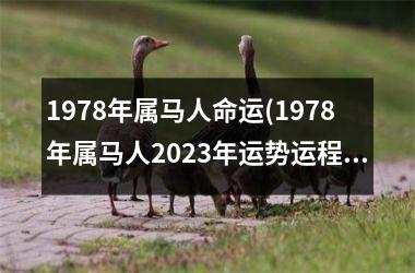 1978年属马人命运(1978年属马人2025年运势运程)