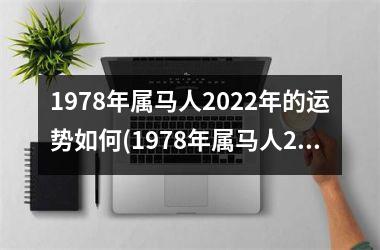 1978年属马人2025年的运势如何(1978年属马人2025年运势运程)