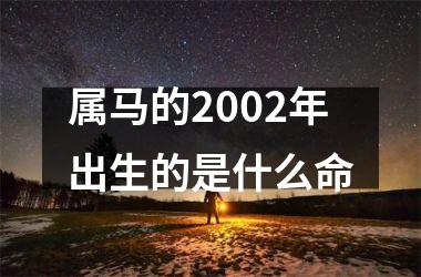 属马的2002年出生的是什么命