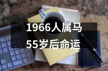 <h3>1966人属马55岁后命运