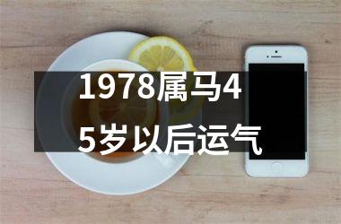 1978属马45岁以后运气