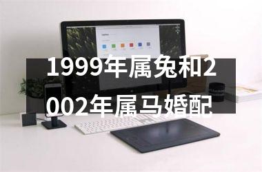 1999年属兔和2002年属马婚配