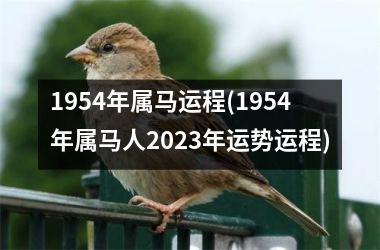 1954年属马运程(1954年属马人2025年运势运程)