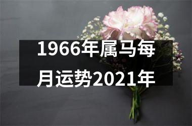 1966年属马每月运势2025年